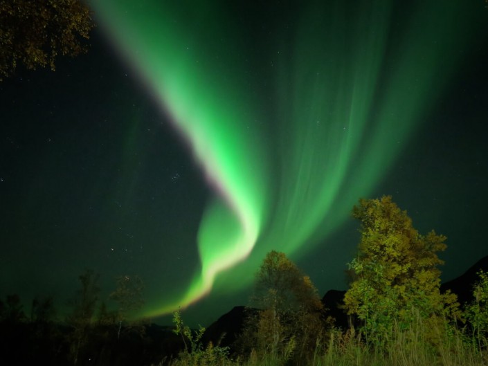 Lofoten